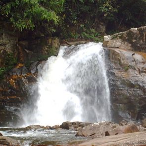 Waterfall_in_Sinharaja