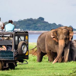 sri-lanka-holiday-tours-Udawalawe-06